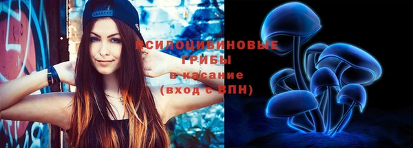 СК Абдулино
