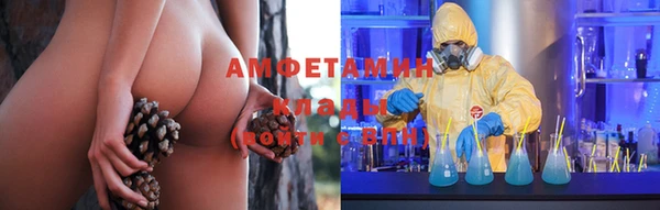 прущие грибы Алексеевка