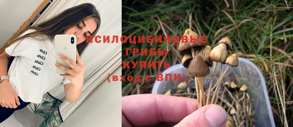 СК Абдулино