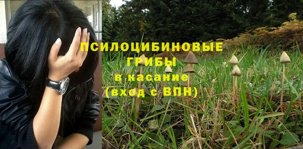 прущие грибы Алексеевка