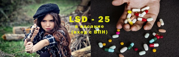 прущие грибы Алексеевка