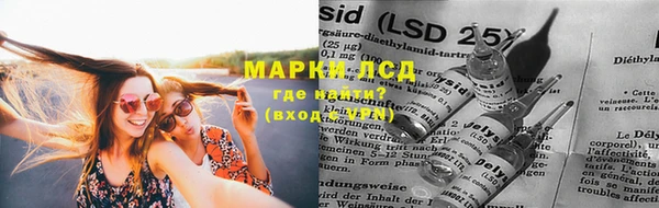 прущие грибы Алексеевка